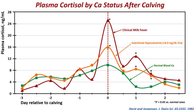 How to strike the balance with hypocalcemia in your herd1