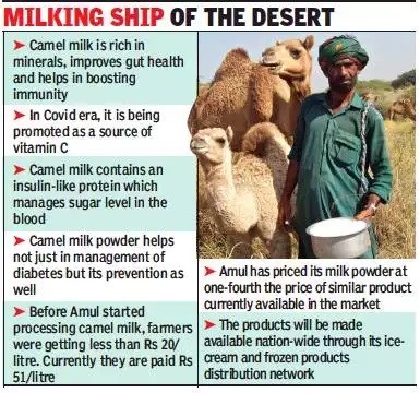 Amul forays into camel milk ice cream milk powder1