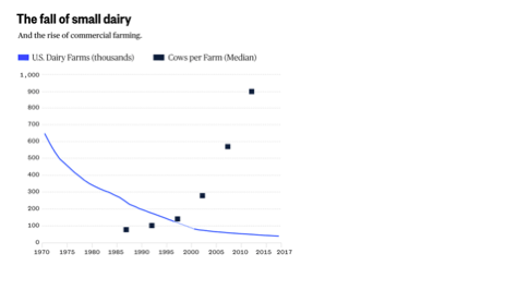 Making the Case for U.S. Dairies to Go Kiwi1