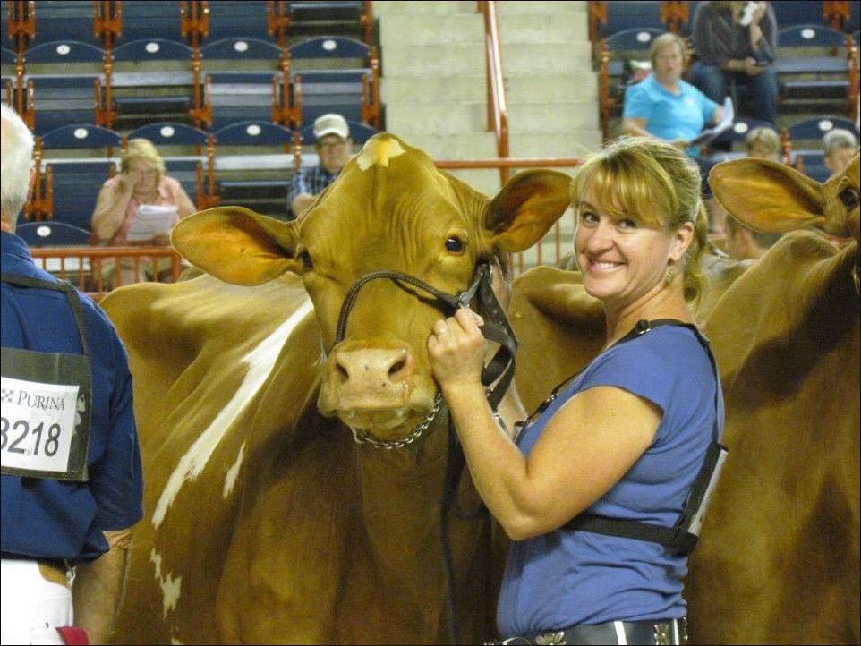 AllAmerican Dairy Show Returns To Farm Show Complex Showcasing U.S