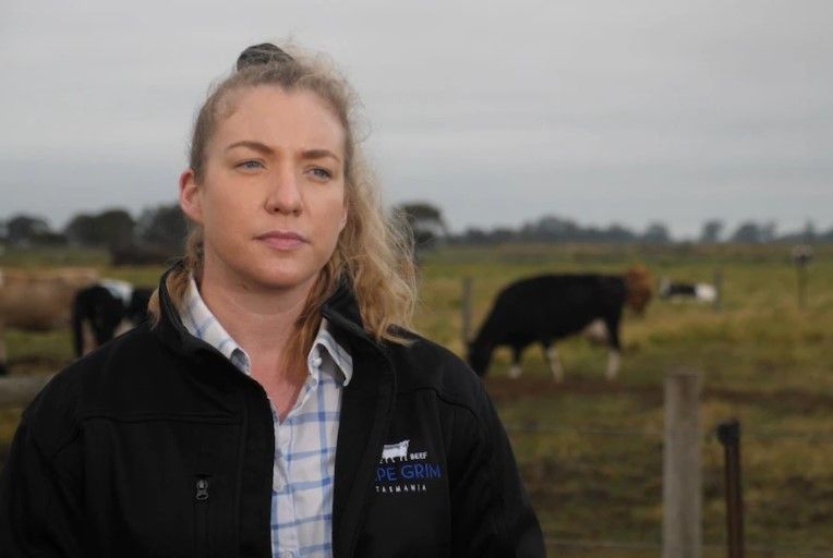 dairy-beef-scheme-offers-alternative-to-slaughter-of-unwanted-calves