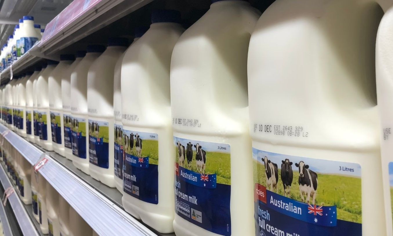 Milk SHORTAGE strikes Australia Dairy prices are set to SOAR ahead of