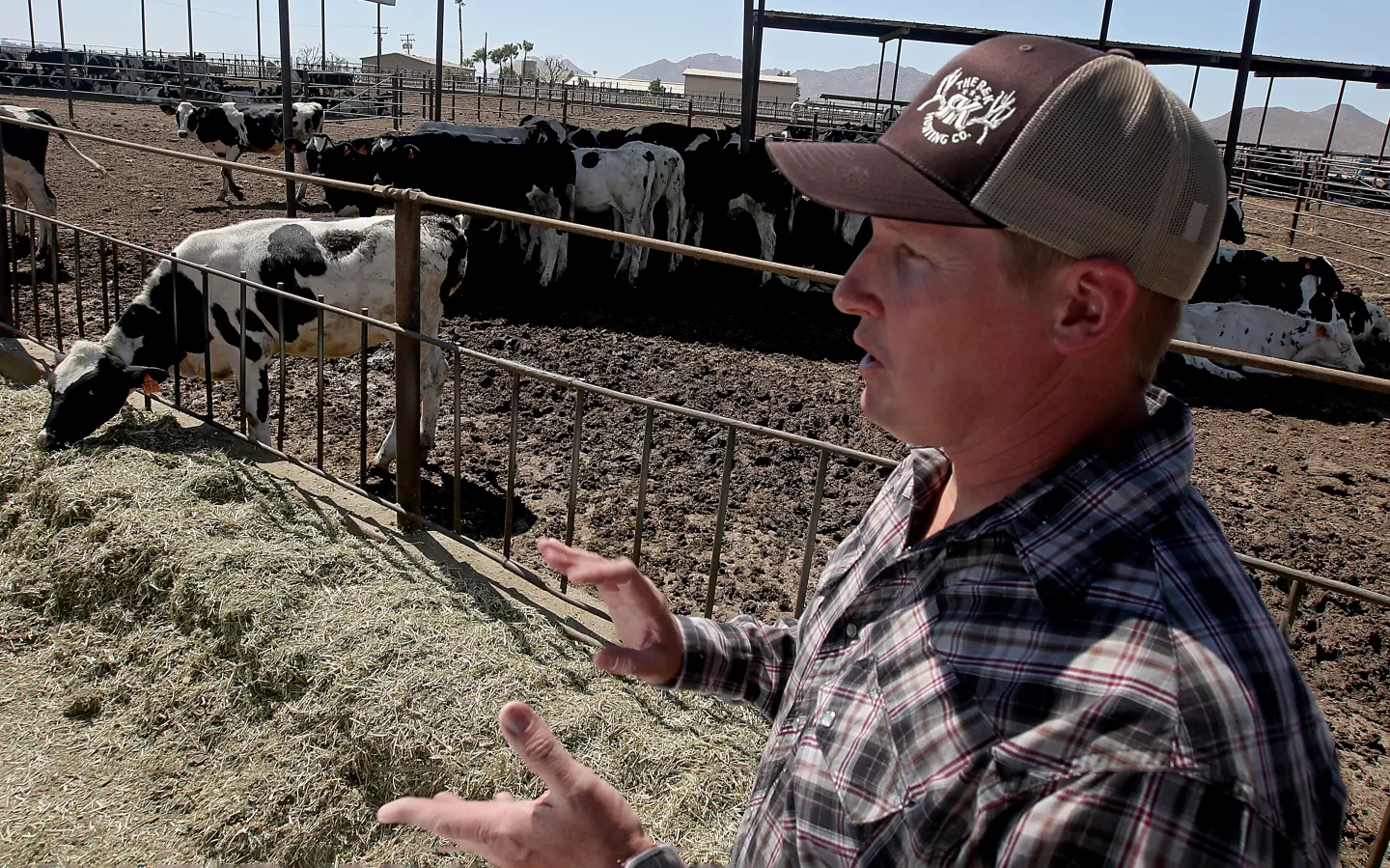 Michael Oosten at his family’s dairy farm in Lakeview, an unincorporated area of Riverside County.