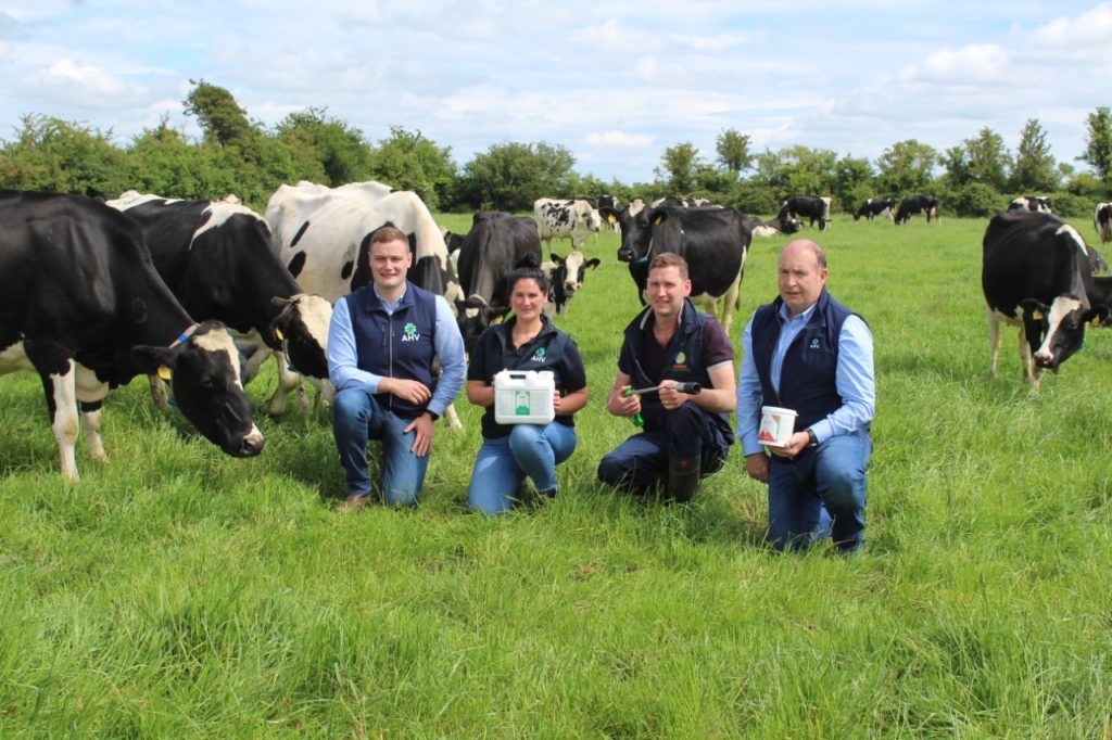 Healthier animals are a sustainable future for dairy farmers 1