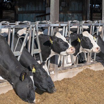 DAIRY BUSINESS BUILDER GRANT APPLICATIONS NOW OPEN TO DAIRY FARMERS IN 11 STATES