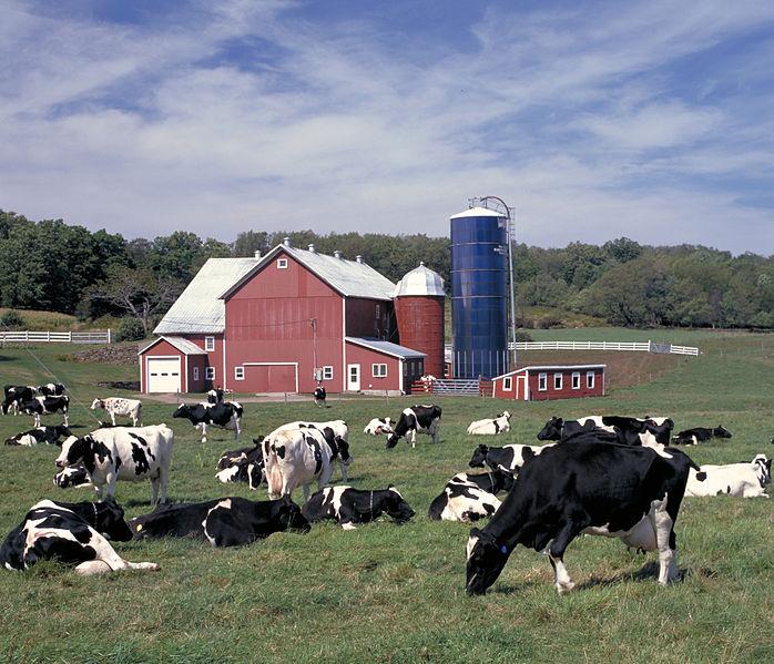 DAIRY INDUSTRY LAUNCHES CAMPAIGN TO GET NEW EMPLOYEES