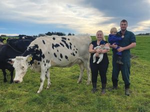 Fourth gen farmers taking family stud to the next level