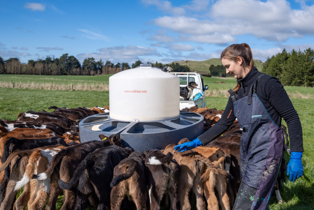 Journey from Cornwall to Gore only the beginning for dairying couple 5