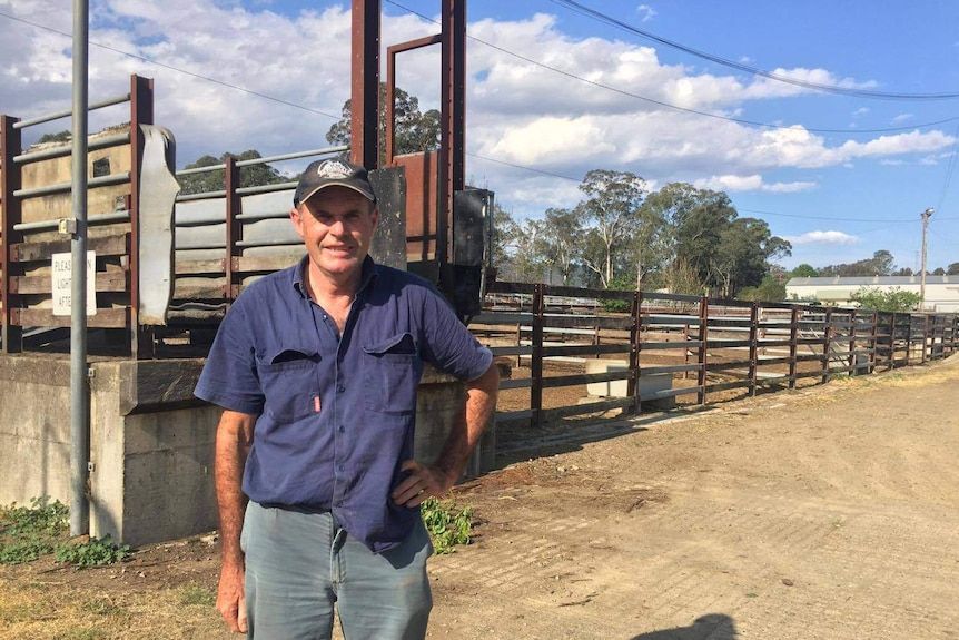 Northern NSW dairy co-operative Norco makes plans for its future on a floodplain1