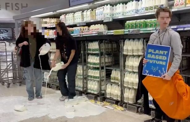 Patrick Harvie refuses to condemn protestors who poured milk out in Waitrose and threw soup at painting 1