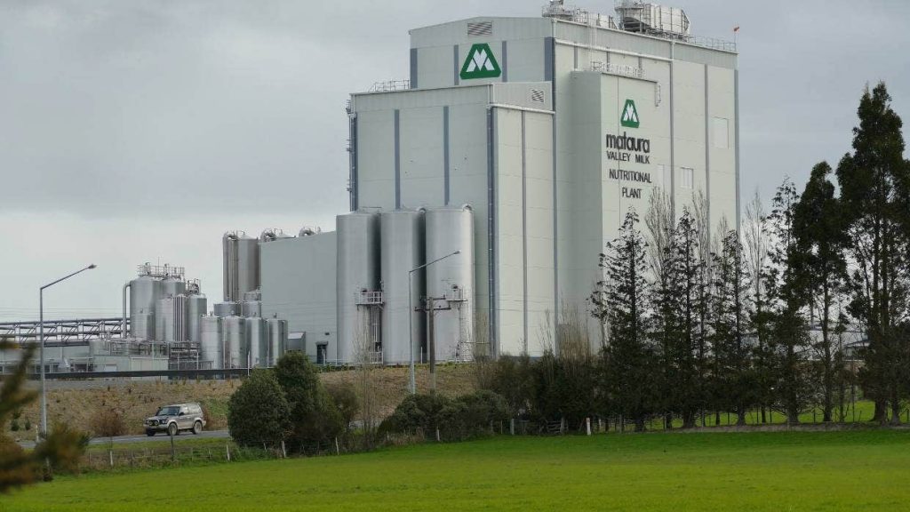 A2 Milk needs its own dairy factories, Hearn says