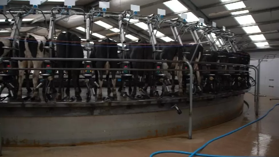 Dairy farmers encouraged to go green in Arla CARE scheme 2
