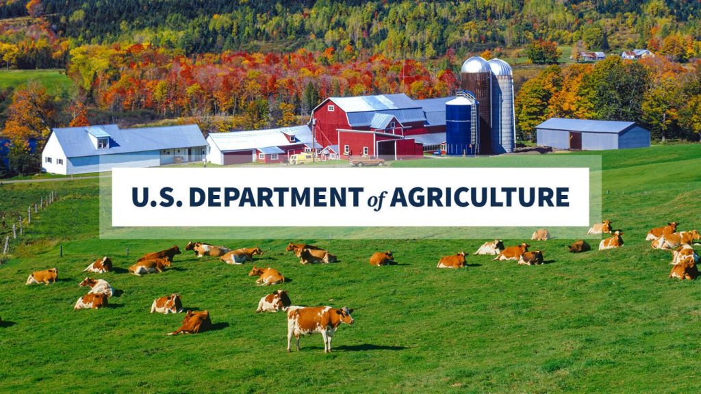 USDA Awards $22.9 Million to Support Dairy Initiatives
