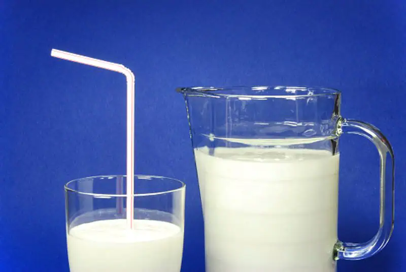 Yogurt to Buttermilk, 5 dairy products that have low lactose content3