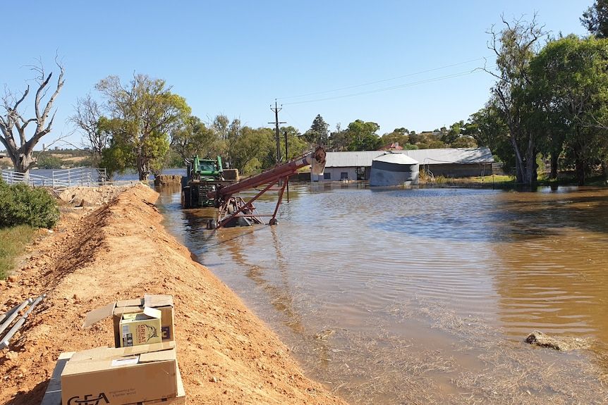 A family has been left devastated after their farm flooded at Mypolonga.