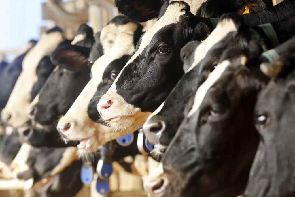 How can ESG and new technologies reduce the dairy industry's carbon emissions?