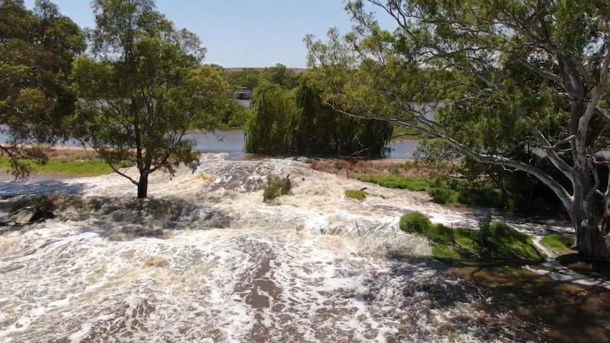 Large Murray Flooding Funding Package As More Levee Breaches Hit South ...