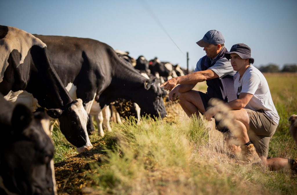 Biosecurity workshops for dairy farmers