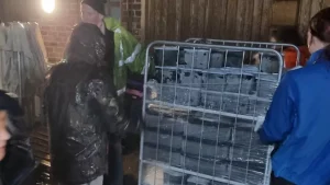 BLUEBELL DAIRY Image caption. Ella Brown suspected the freezer was damaged during a power cut over the weekend