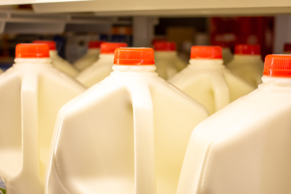 Several,Gallon,Size,Jugs,Of,Milk,In,The,Refrigerator,Section