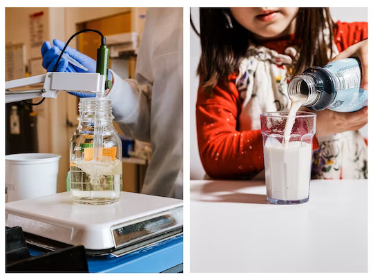 Left, Becky Reith works in the food innovation lab at Perfect Day. Right, a child pours Cowabunga brand "animal-free dairy beverage” made with Perfect Day enzymes.