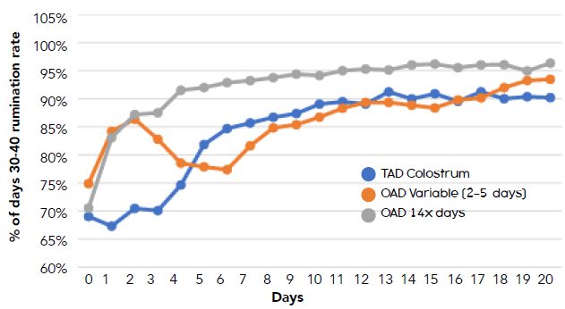 Figure1: Daily Rumination recovery rates in the post-calving period with three different management strategies.