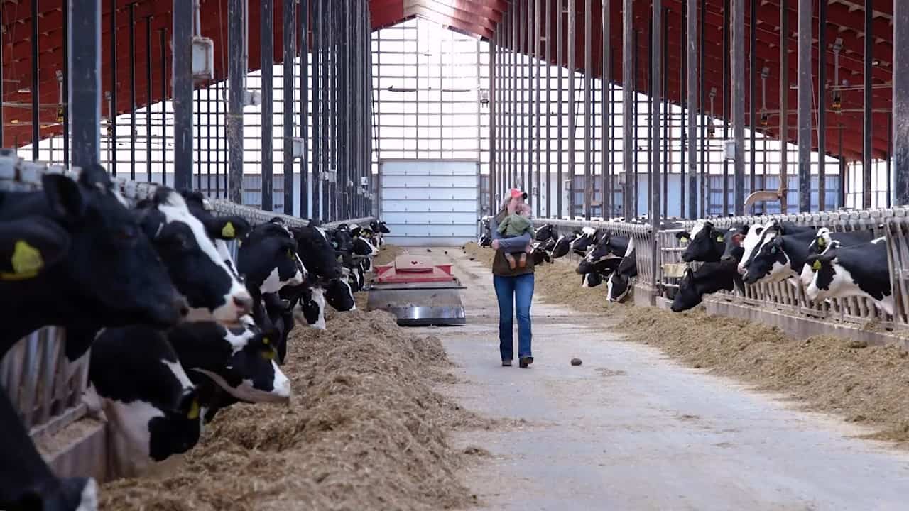 Technology is reinventing dairy production — and it’s helping farmers keep pace