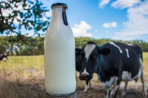 Dairy farmers are enraged after milk processes announce about a 10 per cent drop in the offering price.
