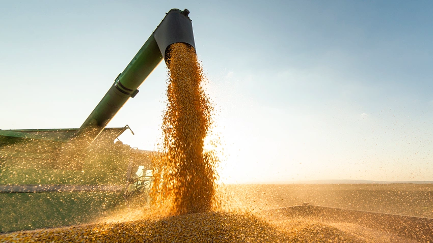 3 market items to watch as harvest begins
