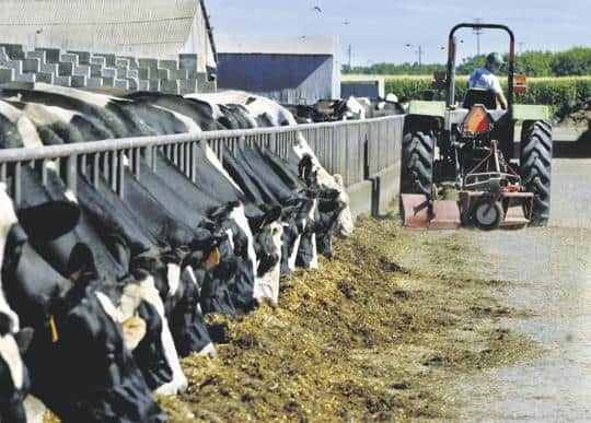 July dairy margin another record low