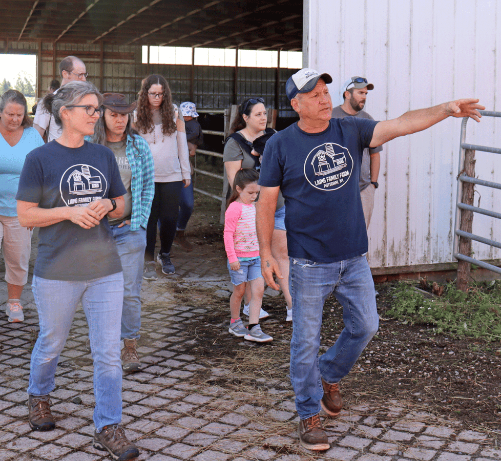 Potsdam organic farm makes change from dairy to beef, other products