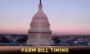 Uncertainty looms as 2018 Farm Bill nears expiration