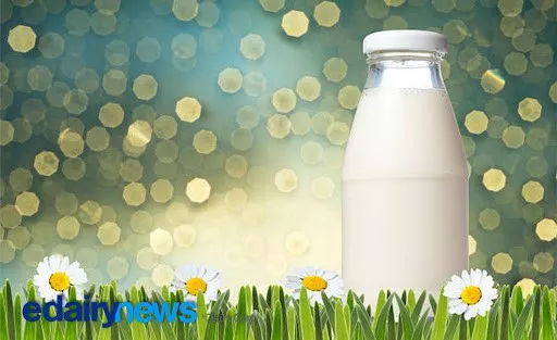 Raw Milk vs. Pasteurized Milk: Food Freedom or Sanitary Recklessness?