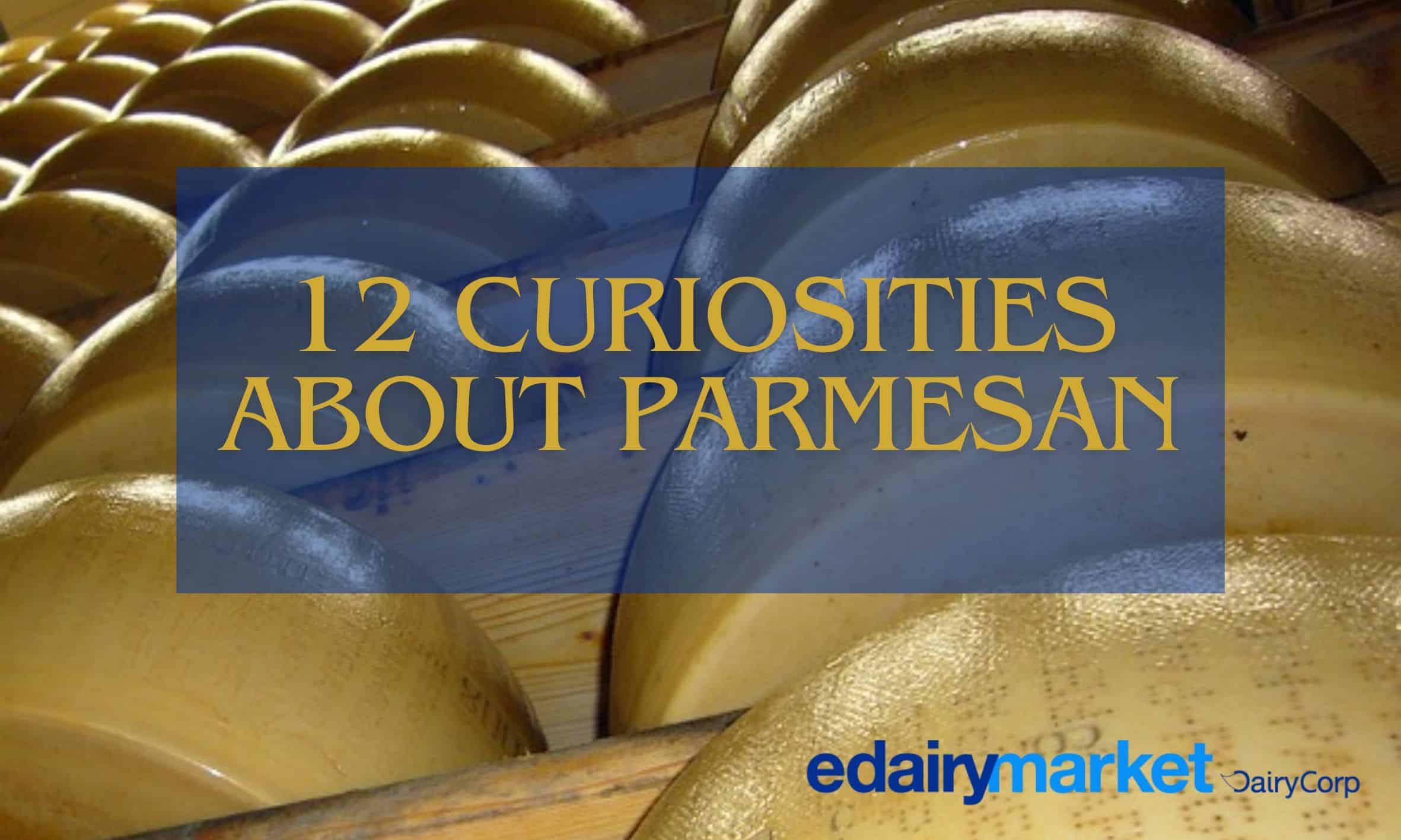 Parmesan: Know 12 Incredible Curiosities