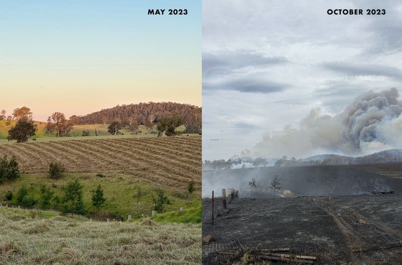 A before and after photo of the family's farm near Bega in NSW.