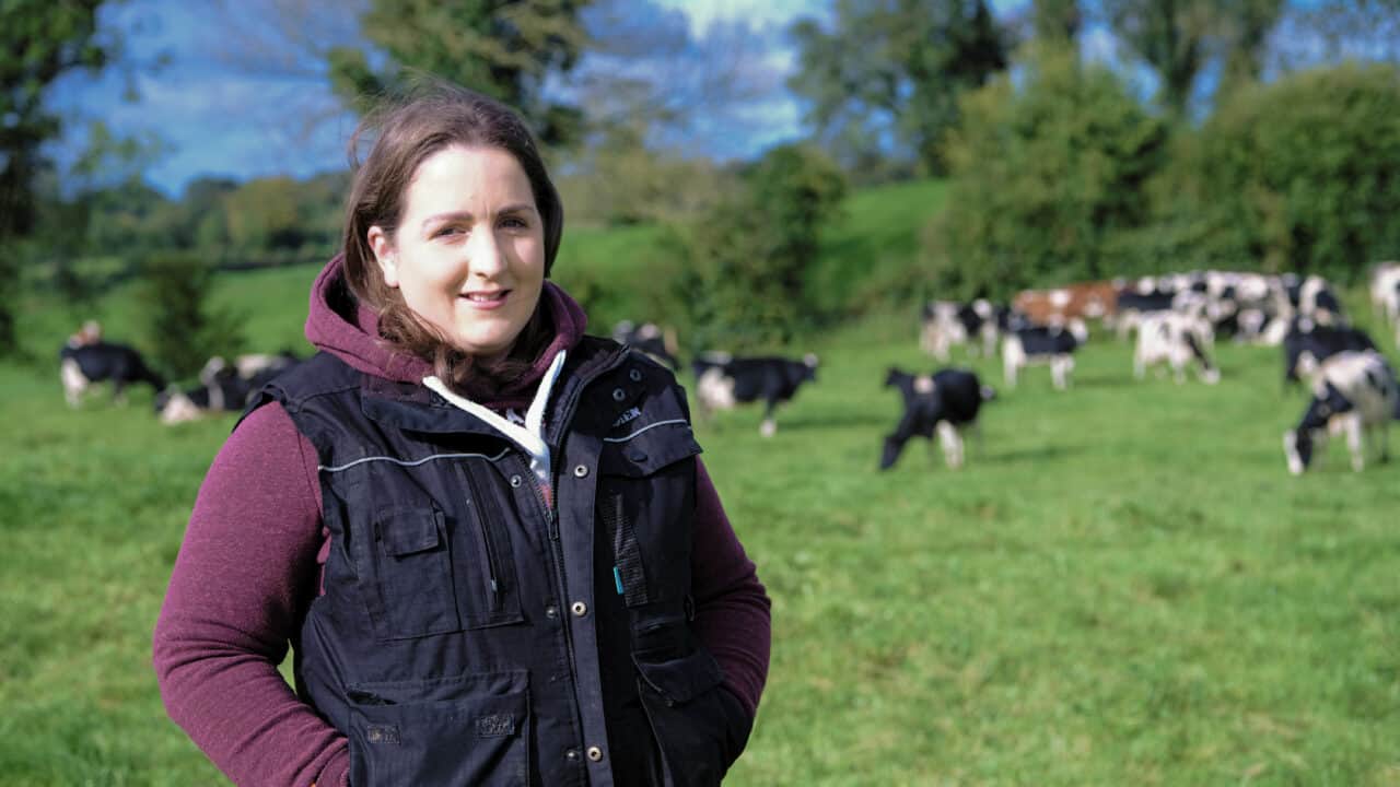 Westmeath dairy farmer joins Lakeland Dairies board