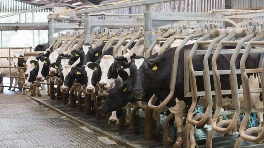 Milk prices turn corner with rises into the new year