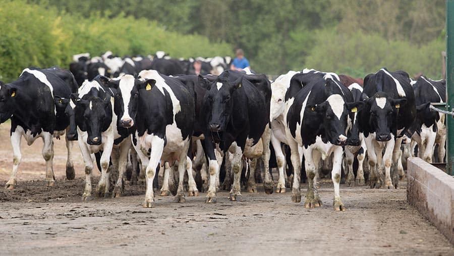 Outlook 2024 Flat milk prices will prompt dairy costs review