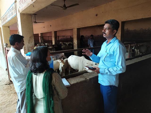 Dip in lumpy skin disease cases in Haryana, big relief for dairy farmers -  eDairyNews-IN