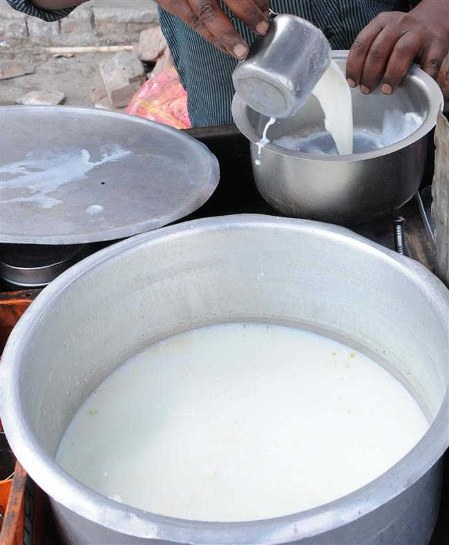 41per cent milk samples found substandard in Punjab