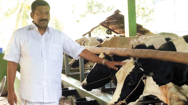 Incentive of ₹5 per litre of milk for dairy farmers under TRCMPU