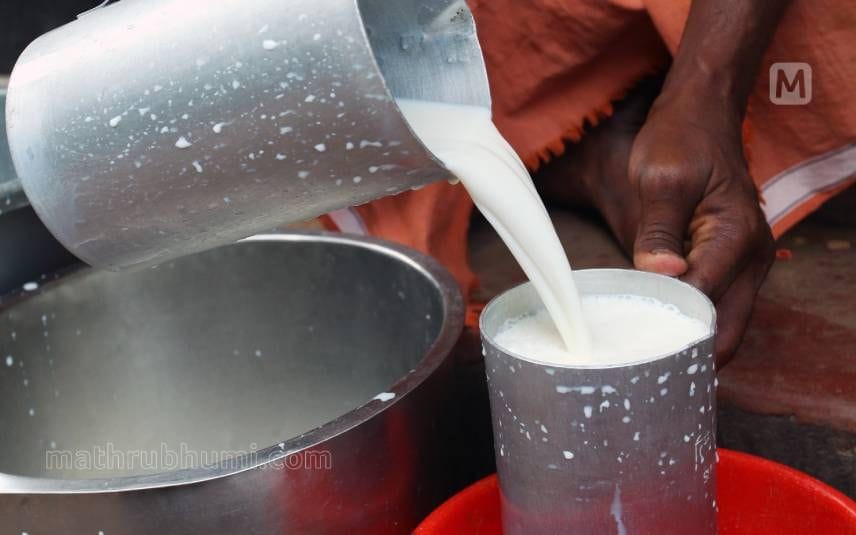 Milk price to go up by Rs 5 in Kerala