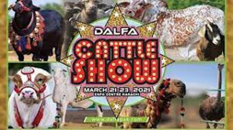 Dalfa Cattle Show offers big opportunities to cattle, milk industry