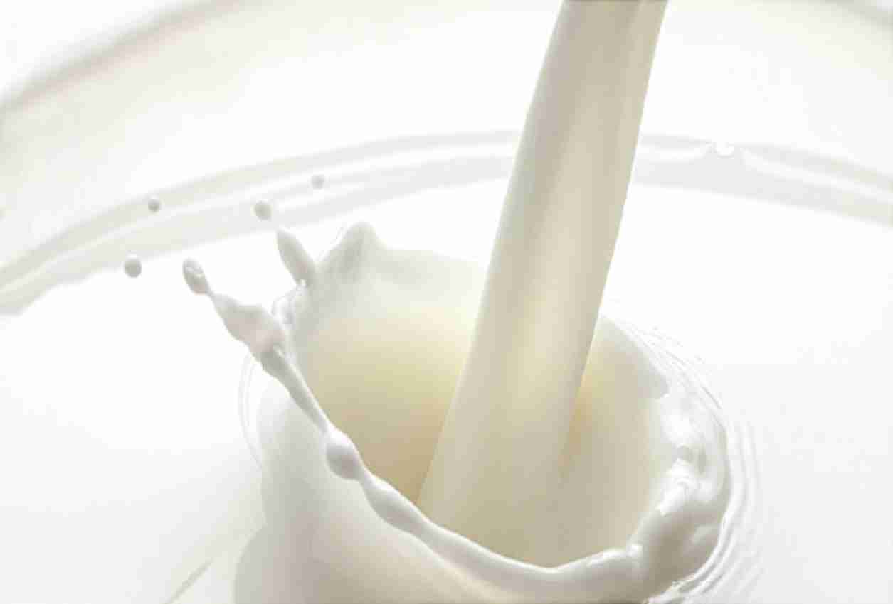 Kamdhenu Hitkari Manch raises Vyas Dhenu milk price by Rs 2 per litre
