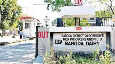 Baroda Dairy is allegedly paying lower price for milk procurement