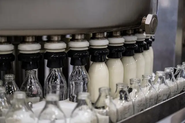 Saudi Arabia achieves self-sufficiency in dairy products