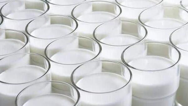 India may consider dairy products' import on tight supply amid stagnant milk output.