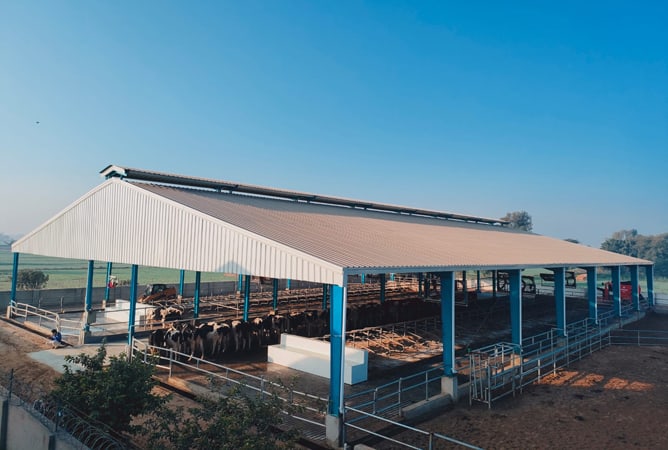 Friesland Campina Engro Pakistan, NEDAP to start strategic partnership in dairy farming