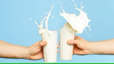 Milk Prices Risen, But No Supply Shortage Of Dairy Products