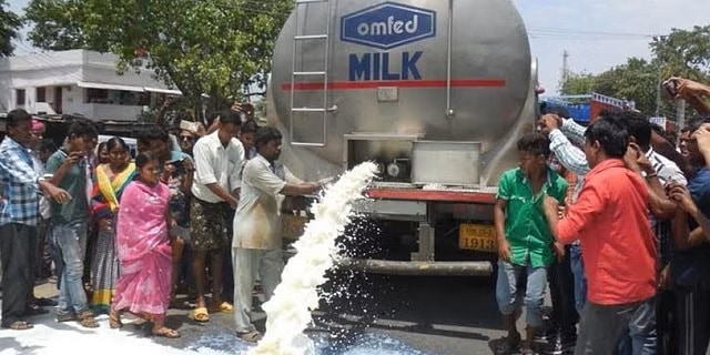 Dairy farmers set to reap benefit of 3rd milk chilling centre in Deogarh